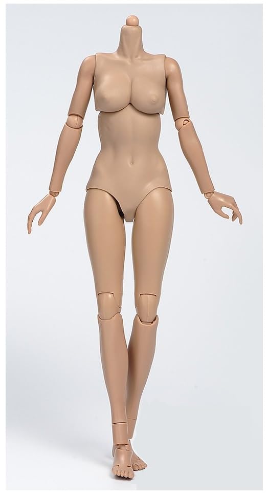 Amazon.co.jp: 女性 リアル 人体 フィギュア 1/6スケール (ブラック